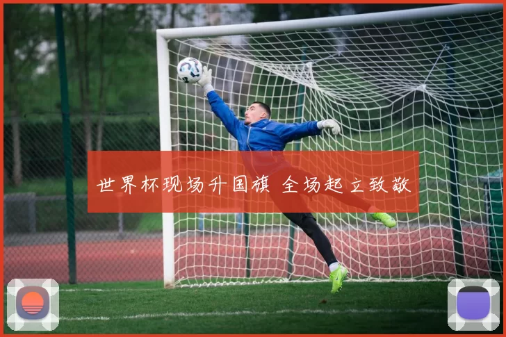 世界杯现场升国旗 全场起立致敬