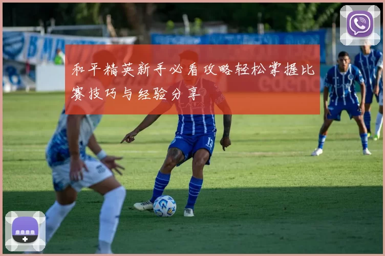和平精英新手必看攻略轻松掌握比赛技巧与经验分享