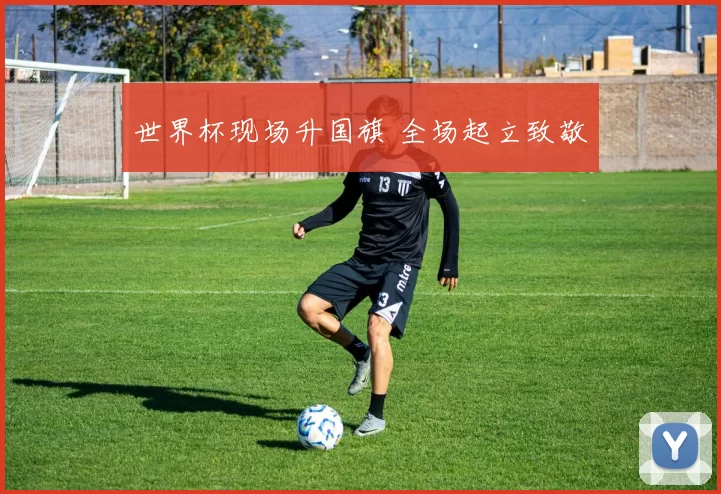 世界杯现场升国旗 全场起立致敬