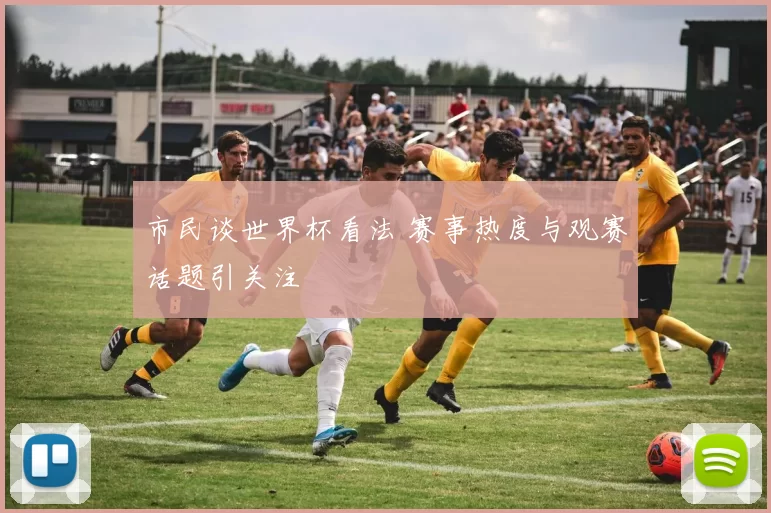 市民谈世界杯看法 赛事热度与观赛话题引关注