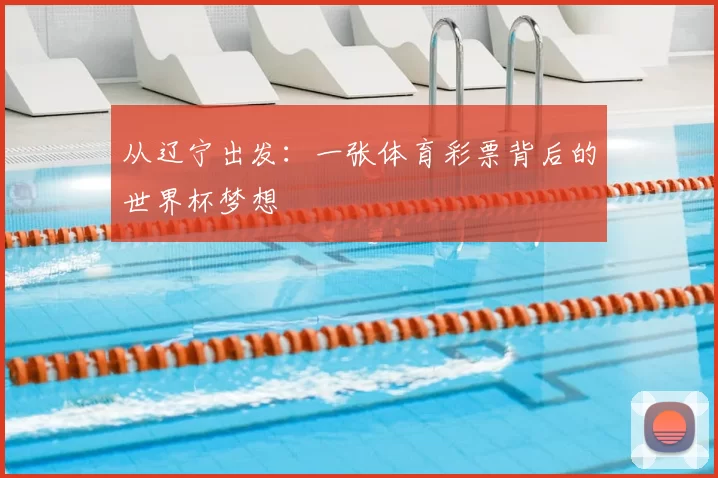 从辽宁出发:一张体育彩票背后的世界杯梦想