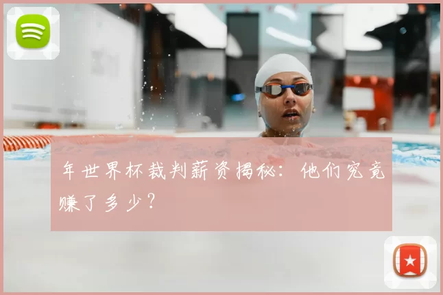 年世界杯裁判薪资揭秘：他们究竟赚了多少？