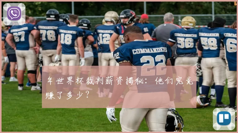 年世界杯裁判薪资揭秘：他们究竟赚了多少？