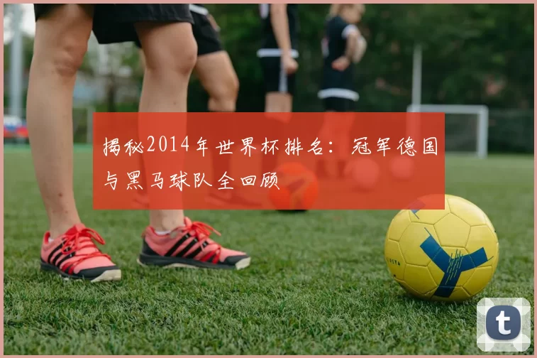 揭秘2014年世界杯排名:冠军德国与黑马球队全回顾