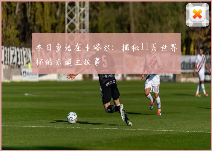 冬日童话在卡塔尔：揭秘11月世界杯的东道主故事