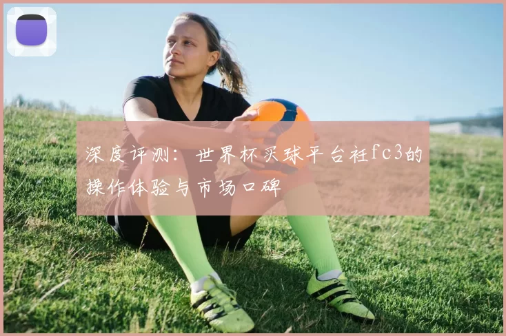 深度评测：世界杯买球平台衽fc3的操作体验与市场口碑