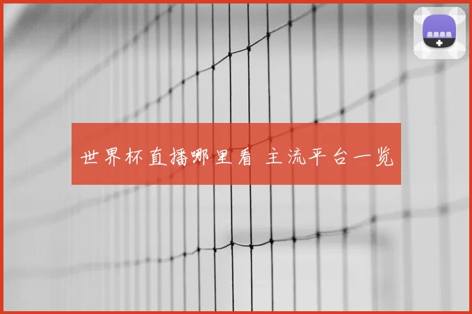 世界杯直播哪里看 主流平台一览